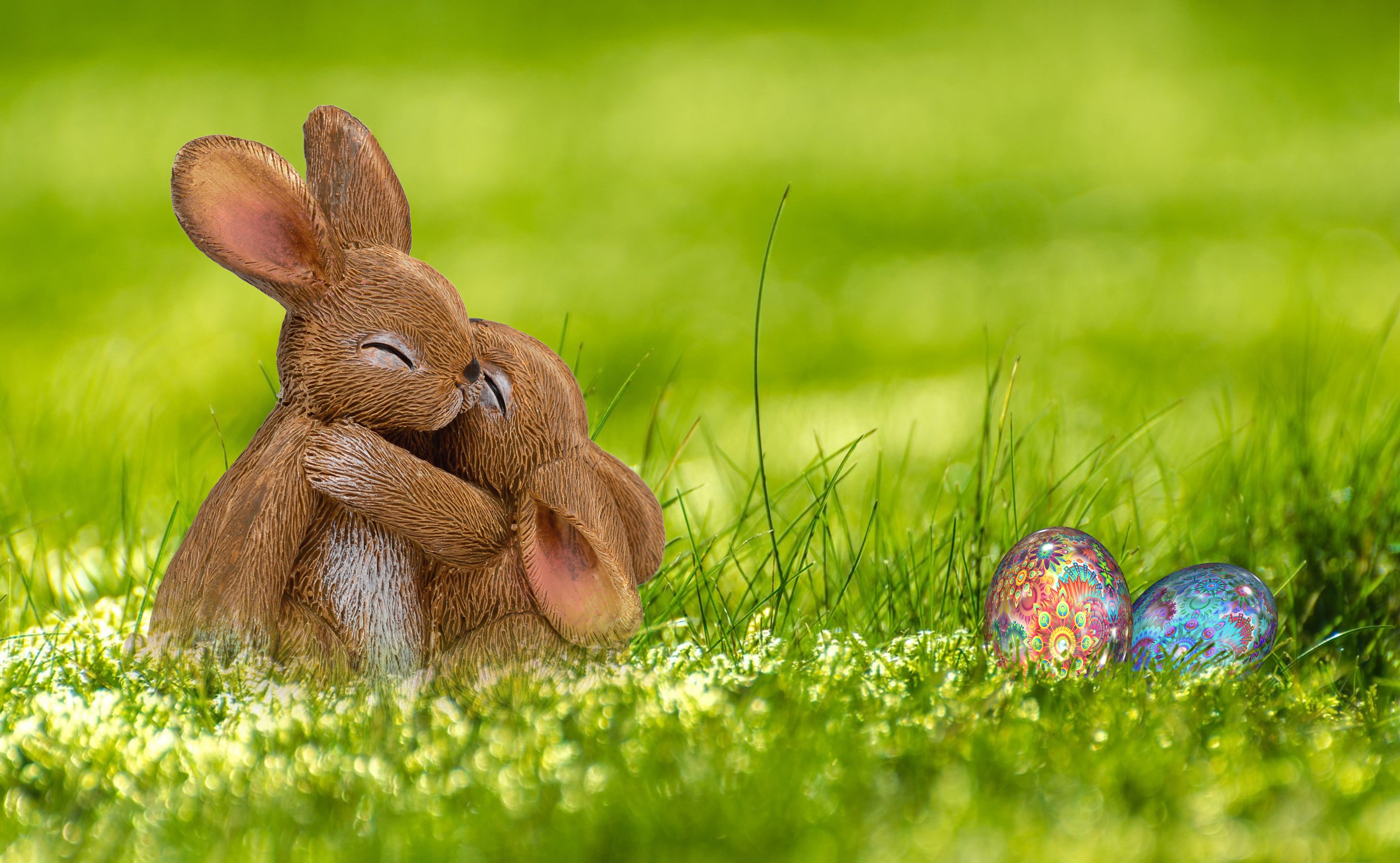 5880x3620 Easter Easter Bunny Hare Spring Wallpaper and Free, Desktop