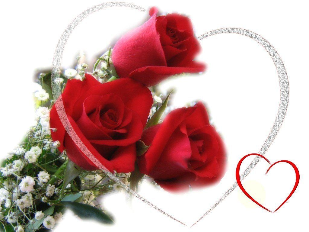 1030x770 Red Rose Love Wallpaper, Desktop