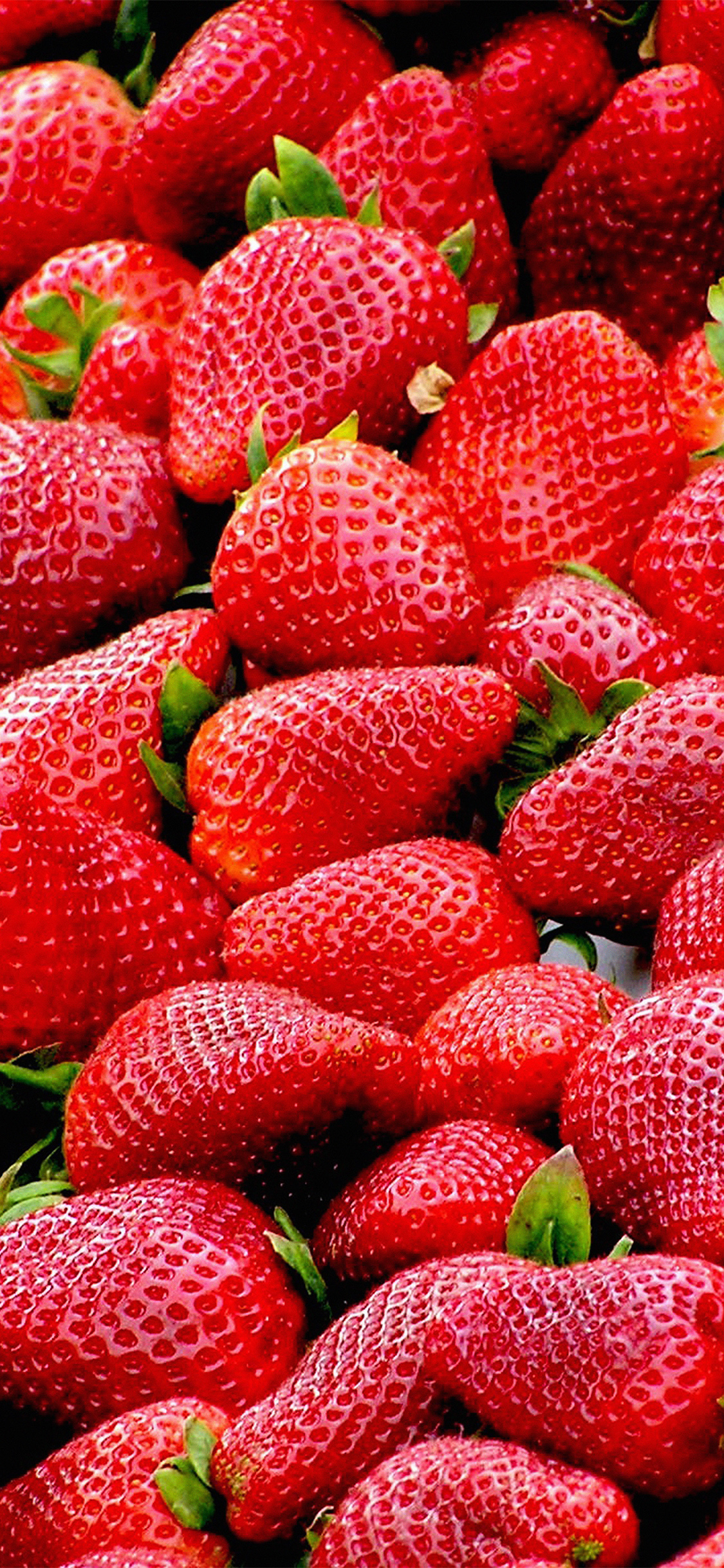 1130x2440 wallpaper. red strawberry fruit, Phone