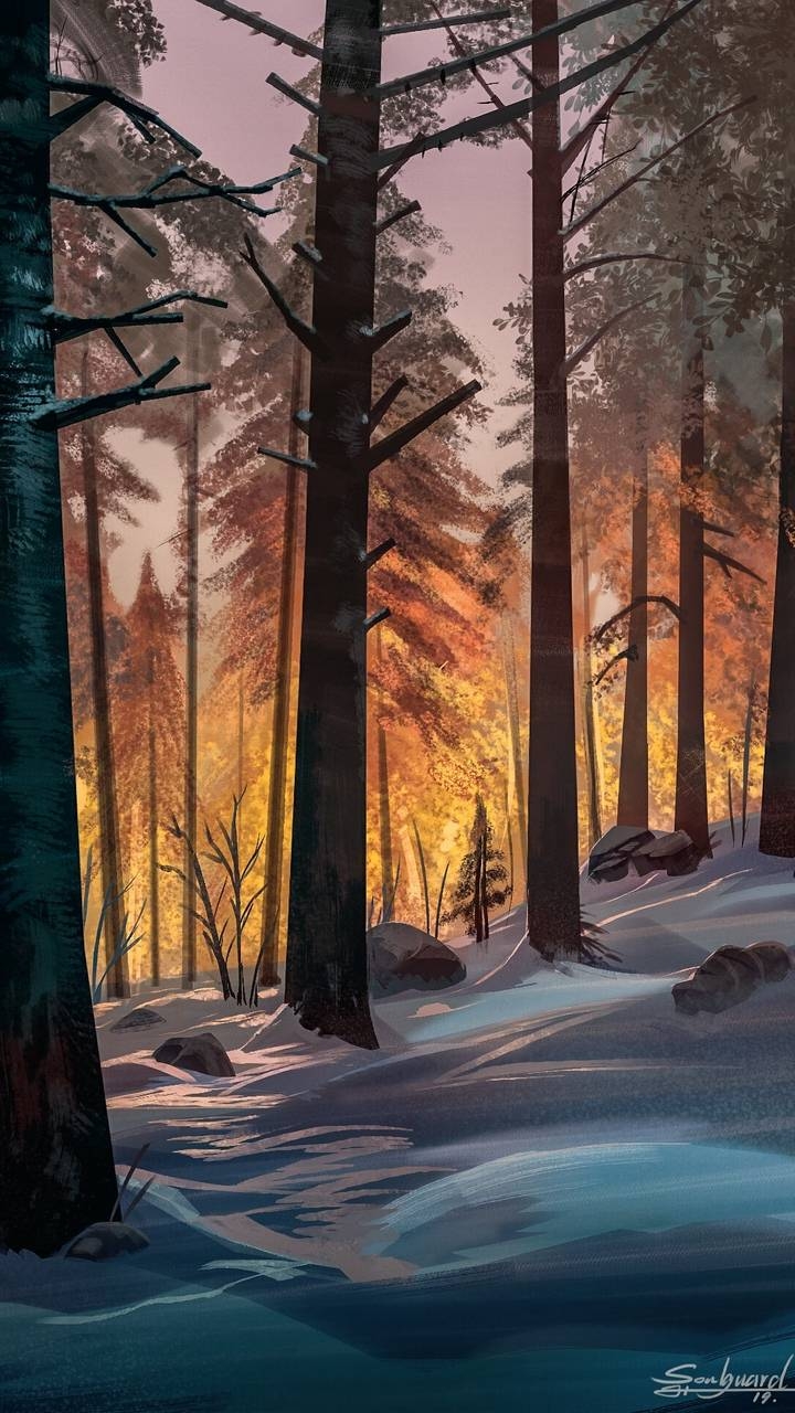 720x1280 Winter Forest Wallpaper, iPhone Wallpaper, Phone