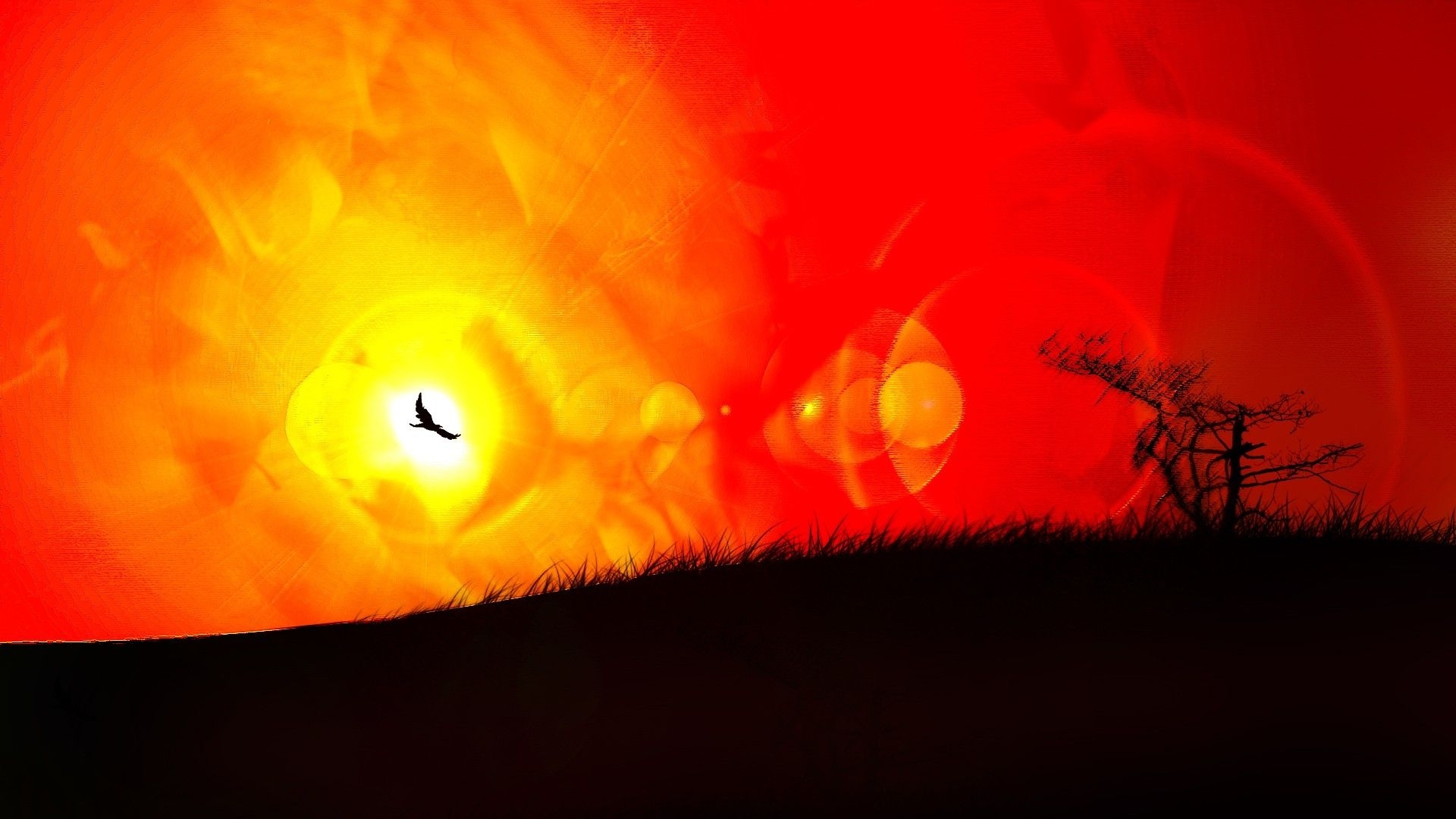 1920x1080 sun black red yellow birds artwork sillhouette  wallpaper High Quality Wallpaper, High Definition Wallpaper, Desktop