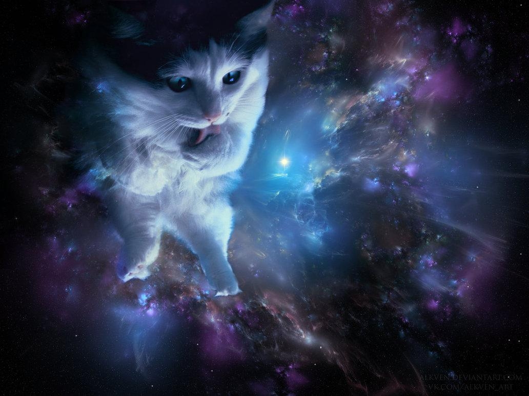 1040x780 Space Cat Wallpaper, Desktop