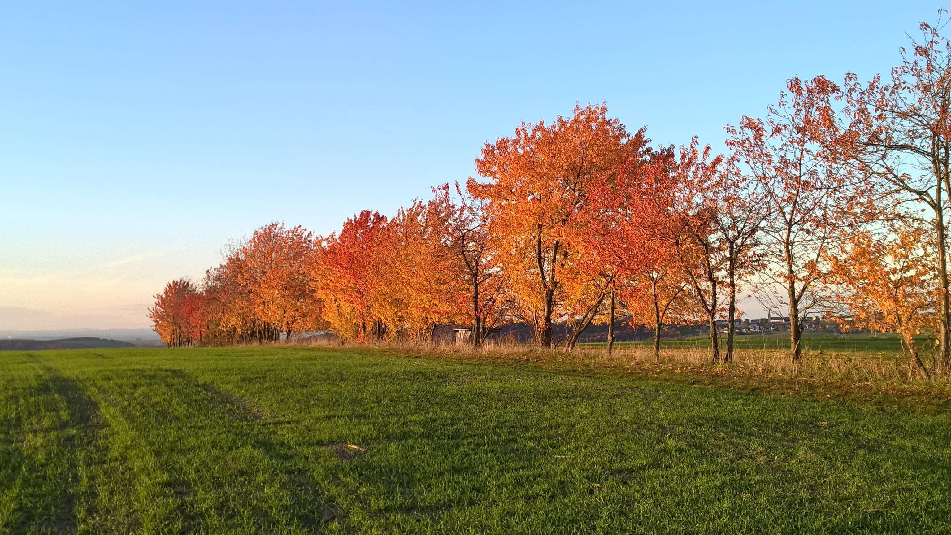 3080x1730 Wallpaper Herbst, Desktop