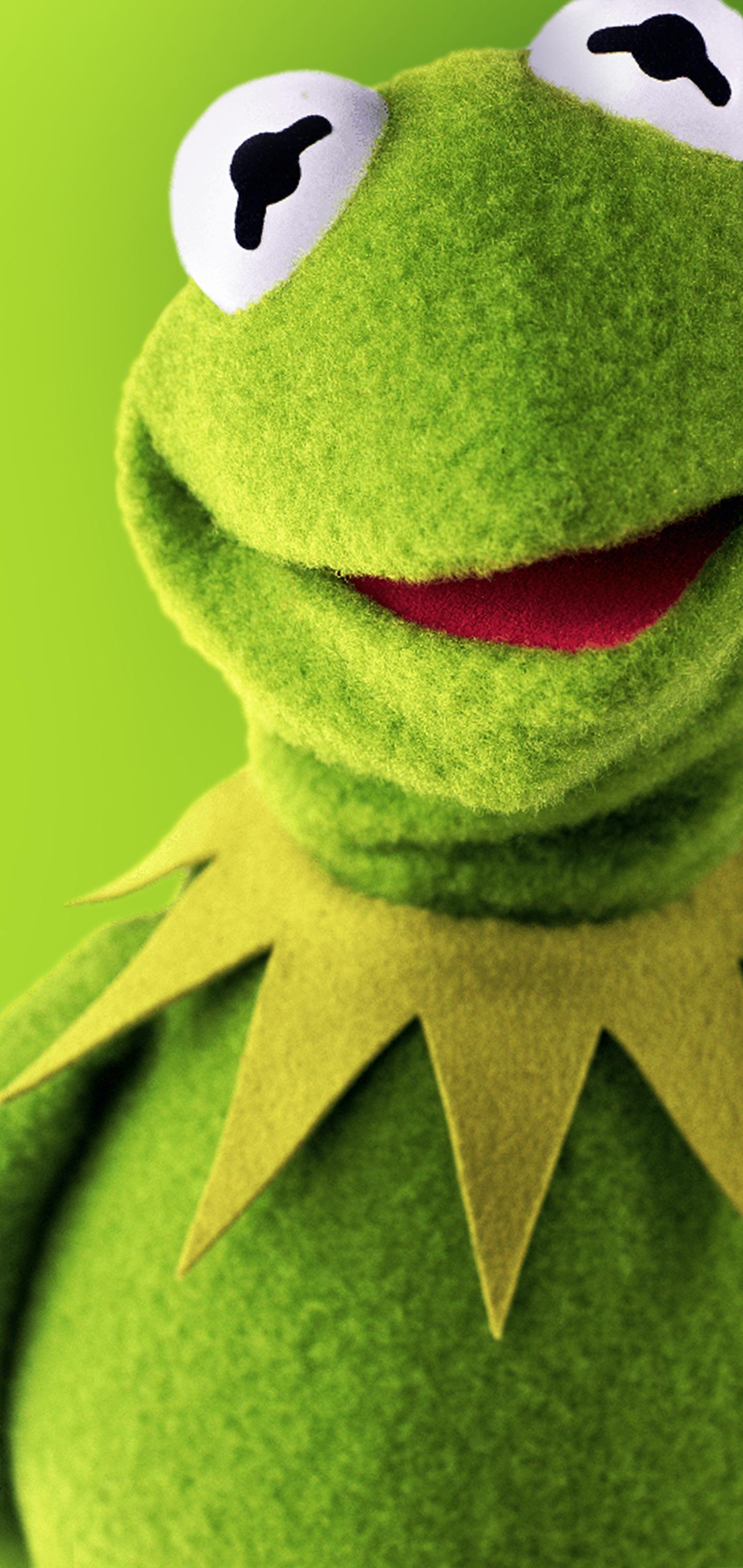 1440x3040 Kermit the Frog Wallpaper, Phone