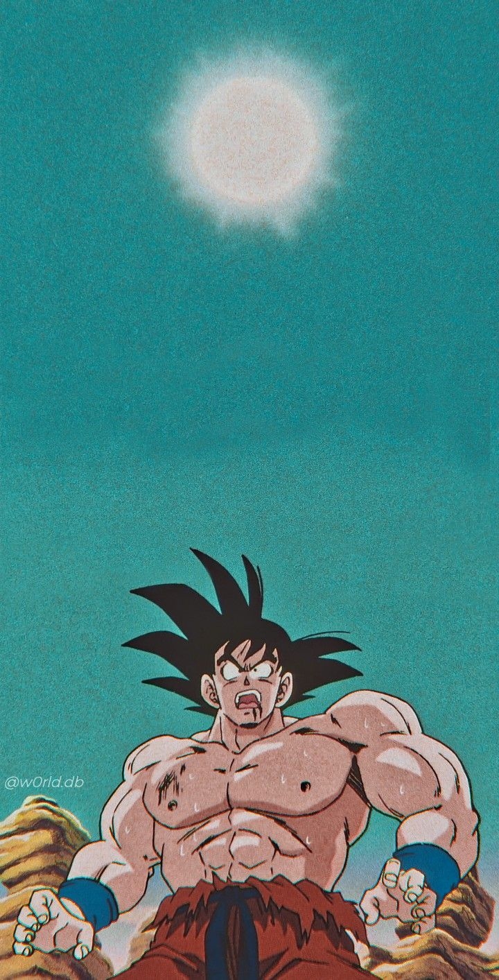 720x1420 Son Goku (孫そん悟ご空くう). Anime dragon ball super, Anime dragon ball, Dragon ball wallpaper, Phone