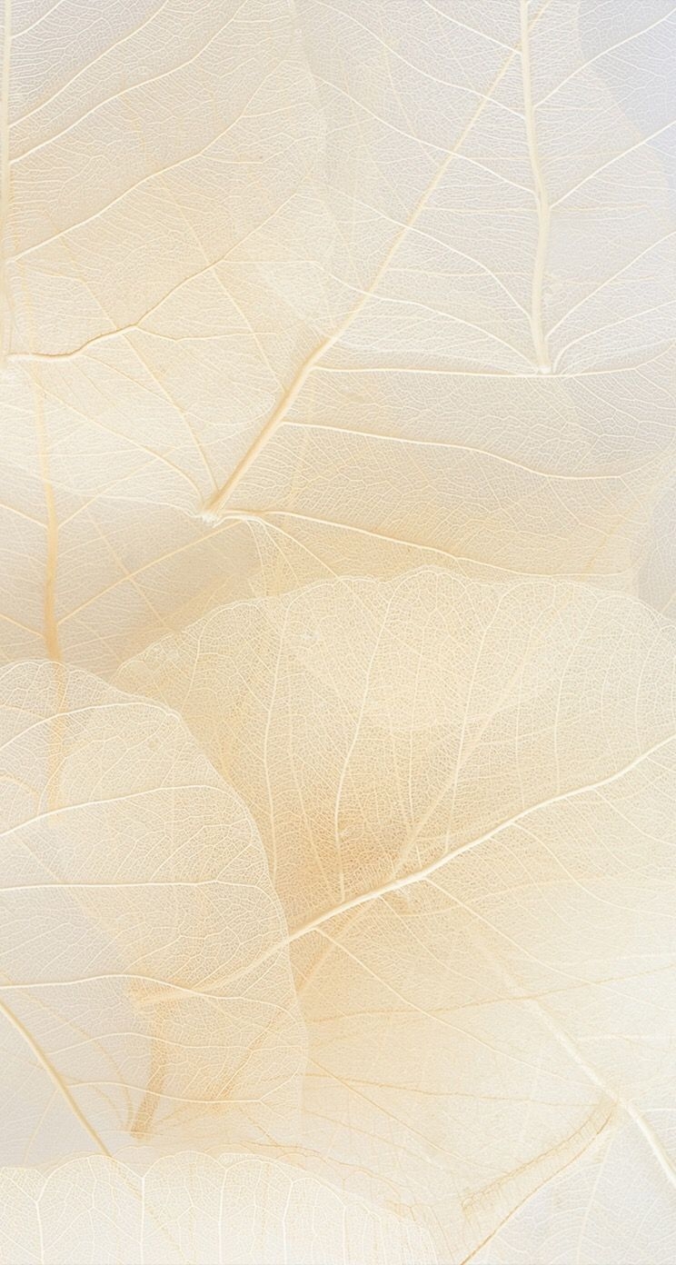 750x1400 iPhone Background. Beige wallpaper, Nature iphone wallpaper, Abstract wallpaper, Phone