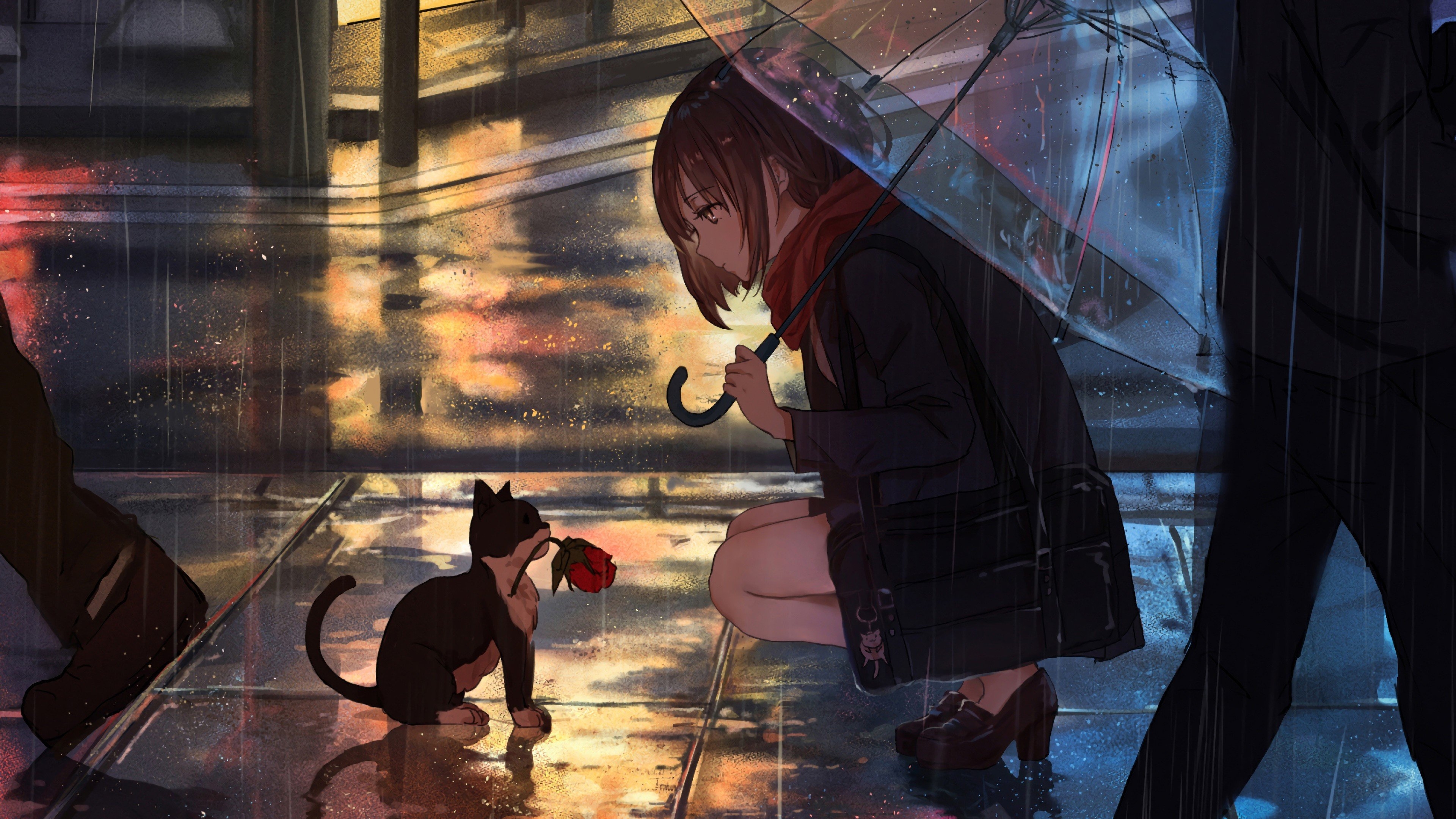 3840x2160 Anime Girl Raining Cat 4K Wallpaper, Desktop