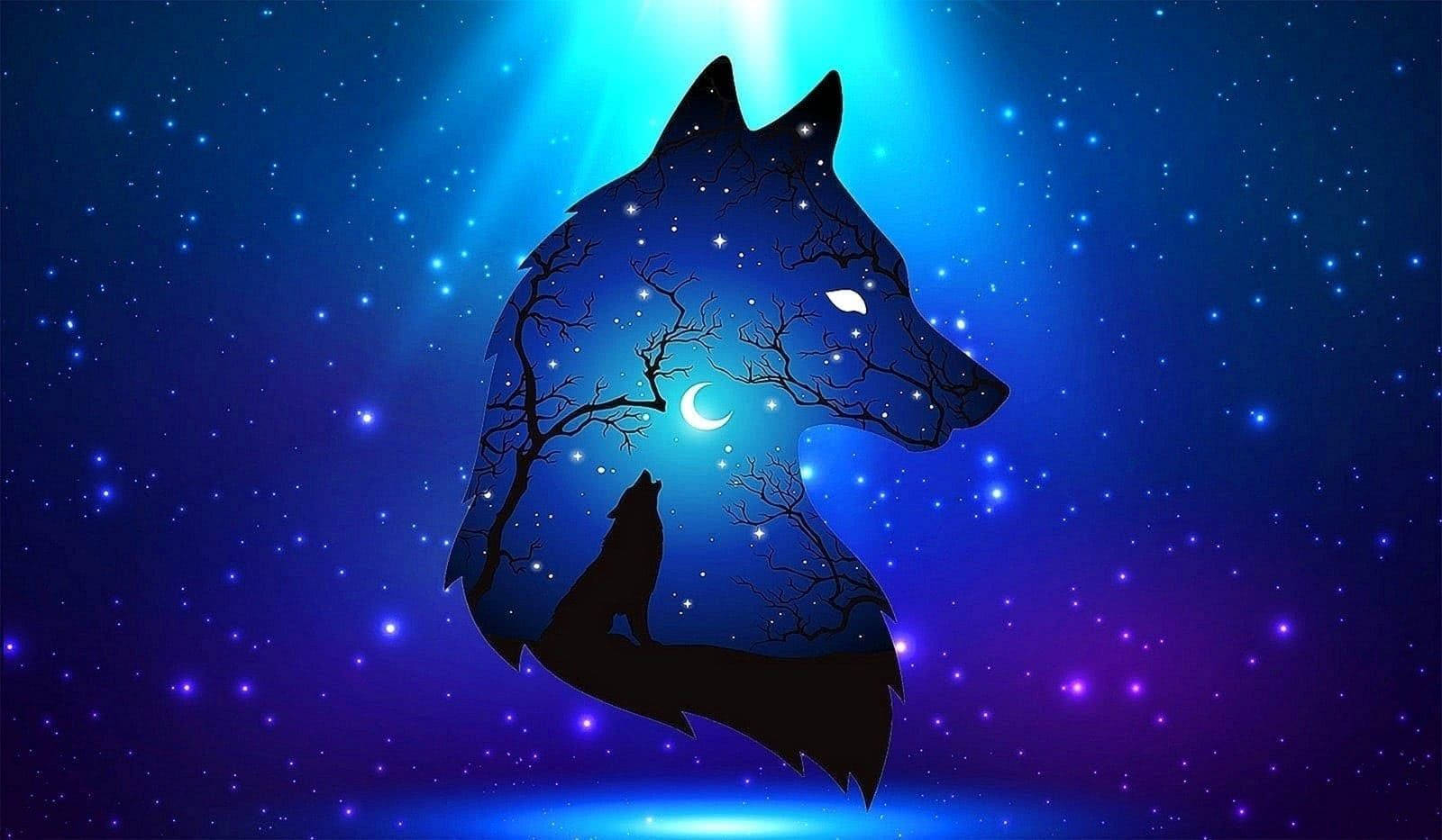 1600x940 Free Cool Black Wolf Wallpaper Downloads, Cool Black Wolf Wallpaper for FREE, Desktop