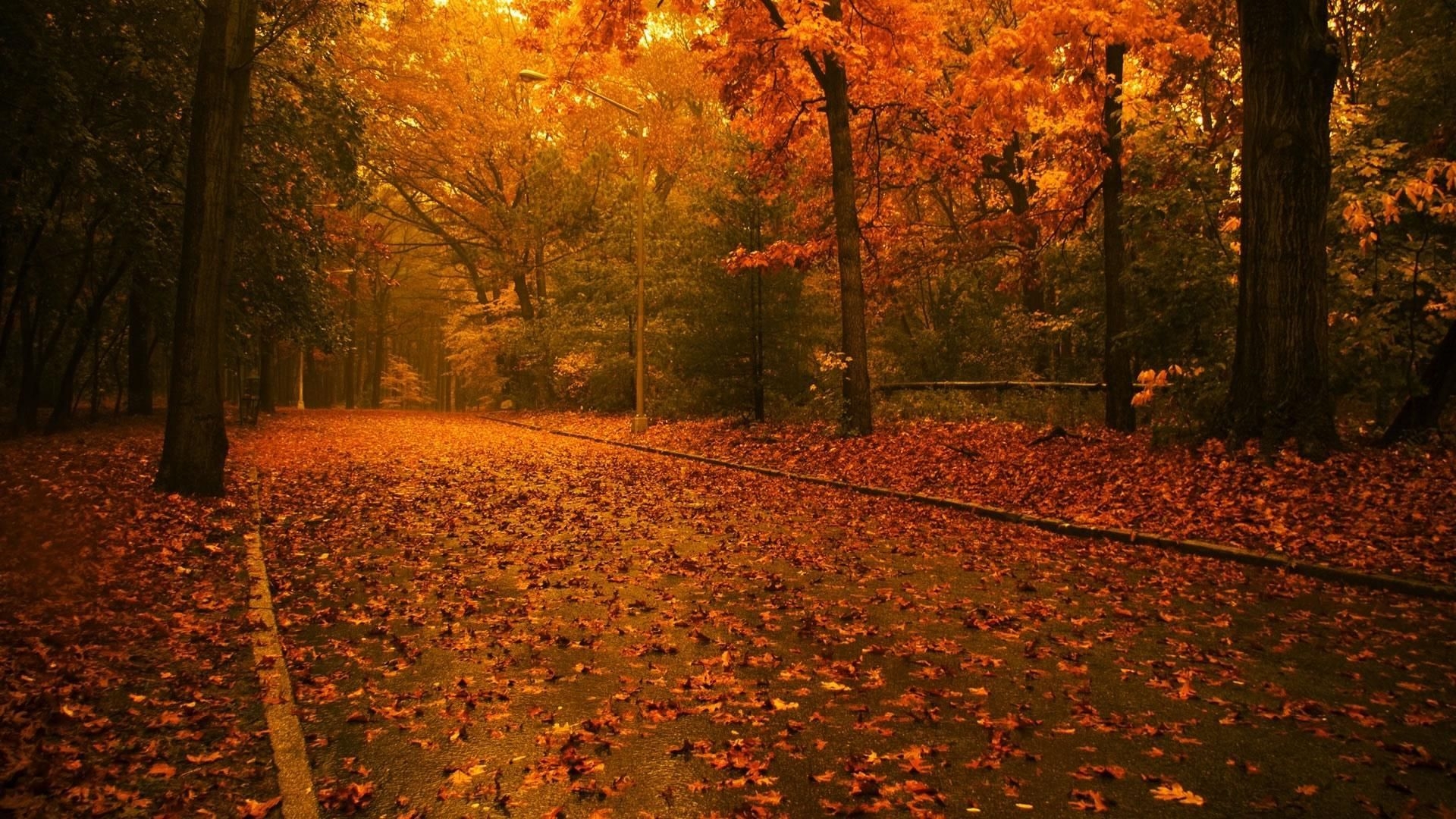 1920x1080 Relaxing Autumn Day Wallpaper Free Relaxing Autumn Day Background, Desktop