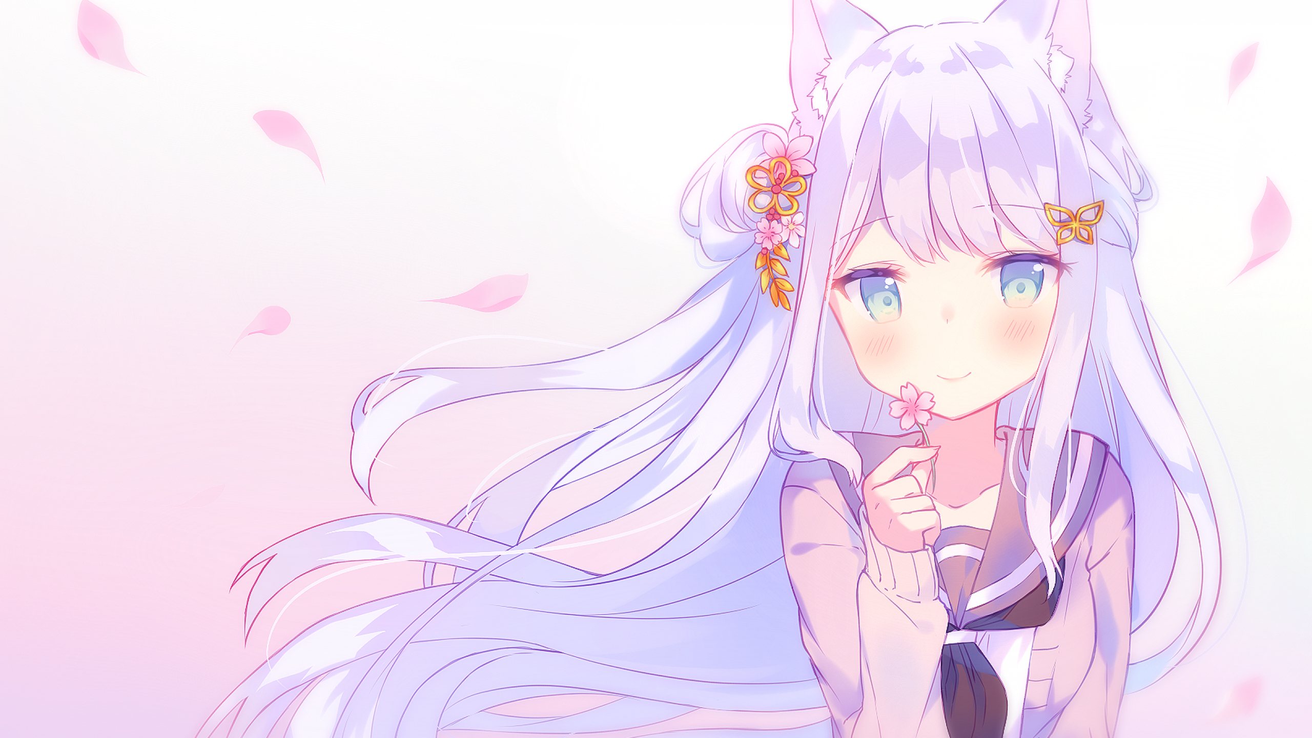 2560x1440 Download  Anime Cat Girl, Cute, Loli, Long Hair, Animal, Desktop