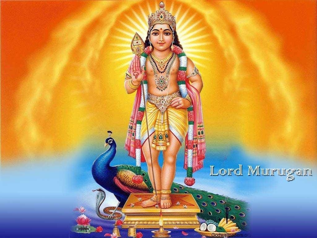 1030x770 Lord Murugan Wallpaper for Android, Desktop