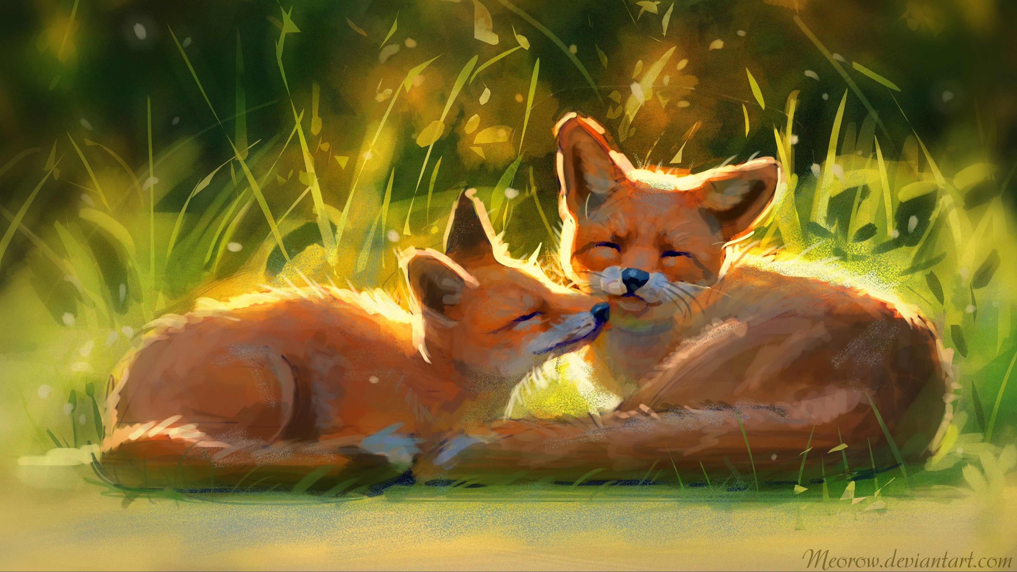 3840x2160 Foxes 4K wallpaper for your desktop or mobile screen free and easy to download, Desktop