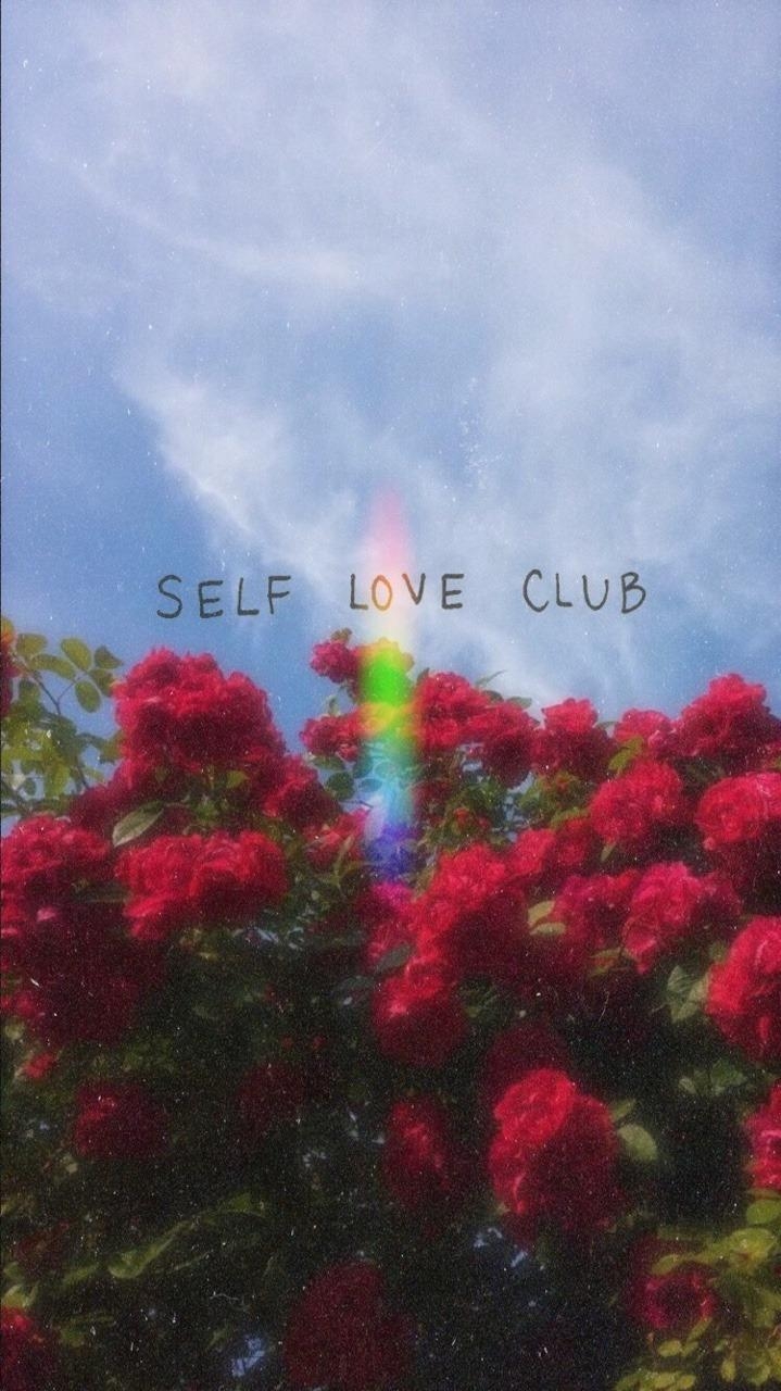 720x1280 iphone wallpaper, Phone