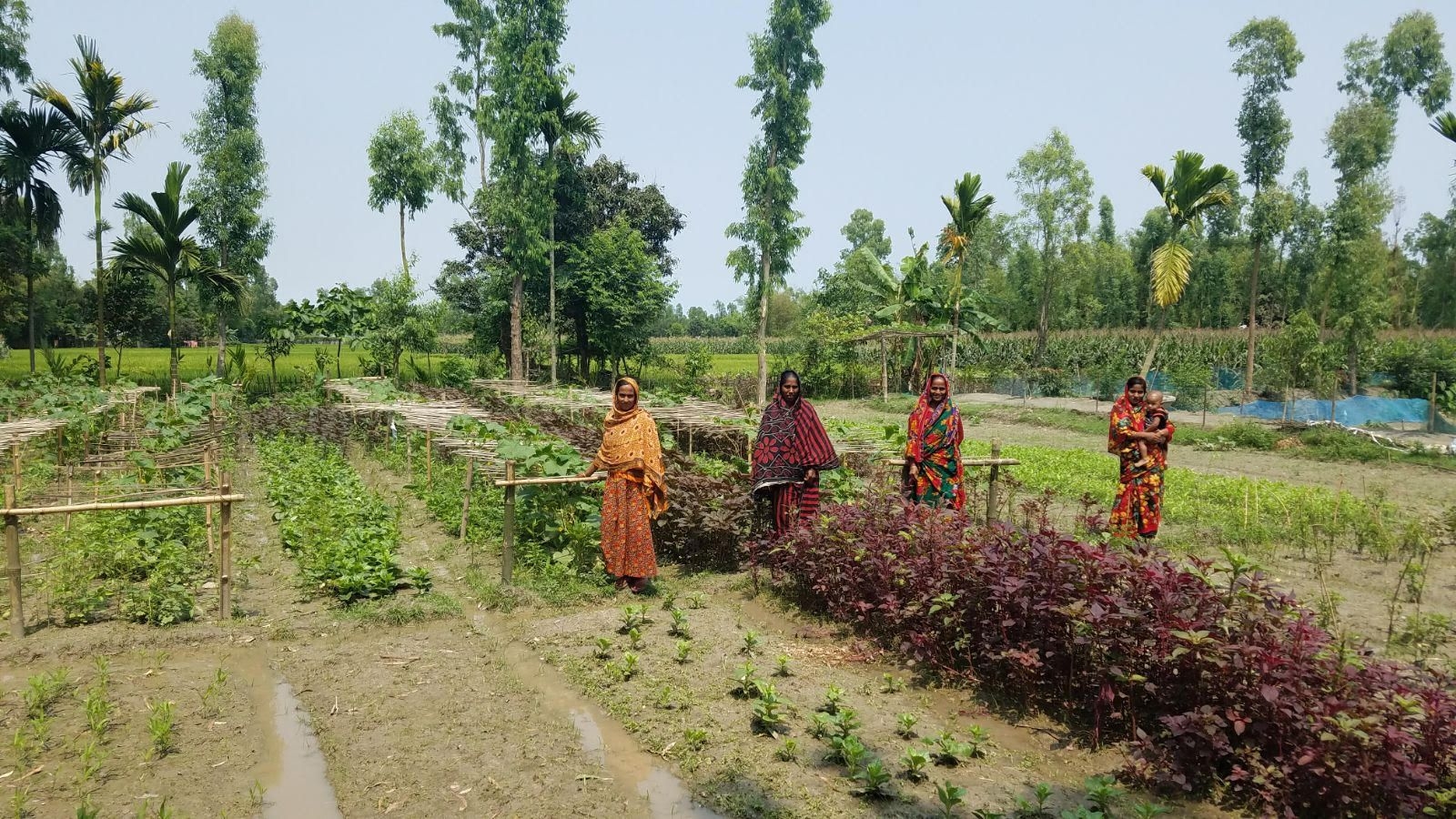 1600x900 Bangladeshi Women Grow Healthier Food and Savings for their, Desktop