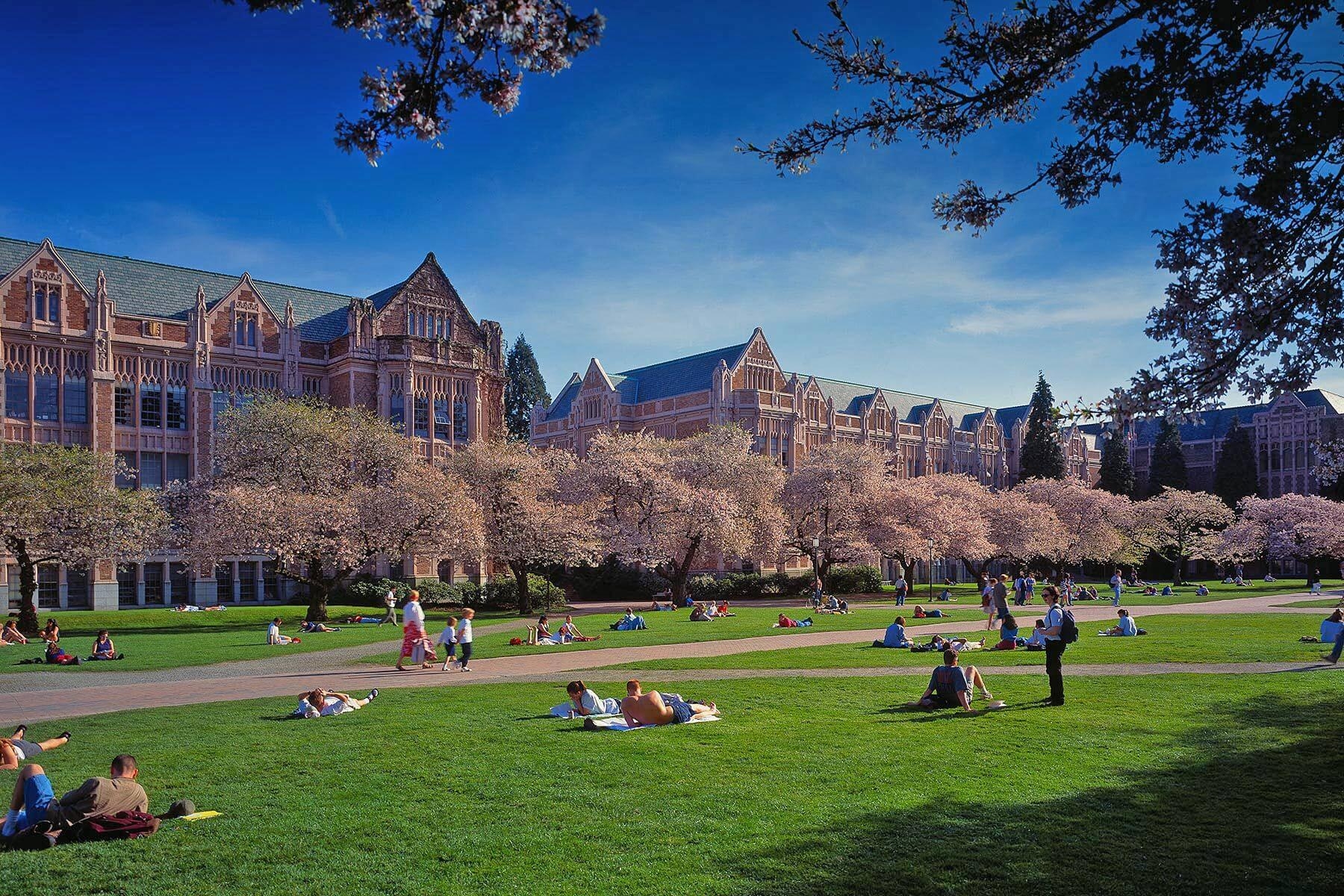 1800x1200 University of Washington Wallpaper Free University of Washington Background, Desktop