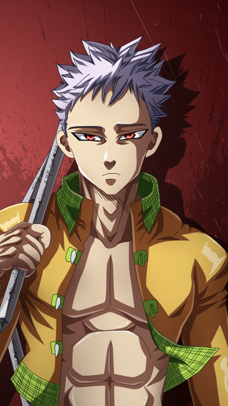 750x1340 Free download AnimeThe Seven Deadly Sins, Phone