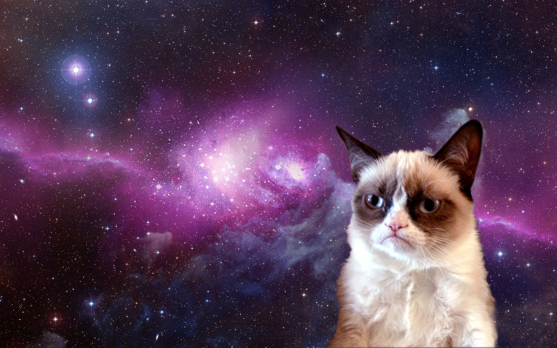 1920x1200 Grumpy Cat Galaxy Wallpaper Free Grumpy Cat Galaxy, Desktop