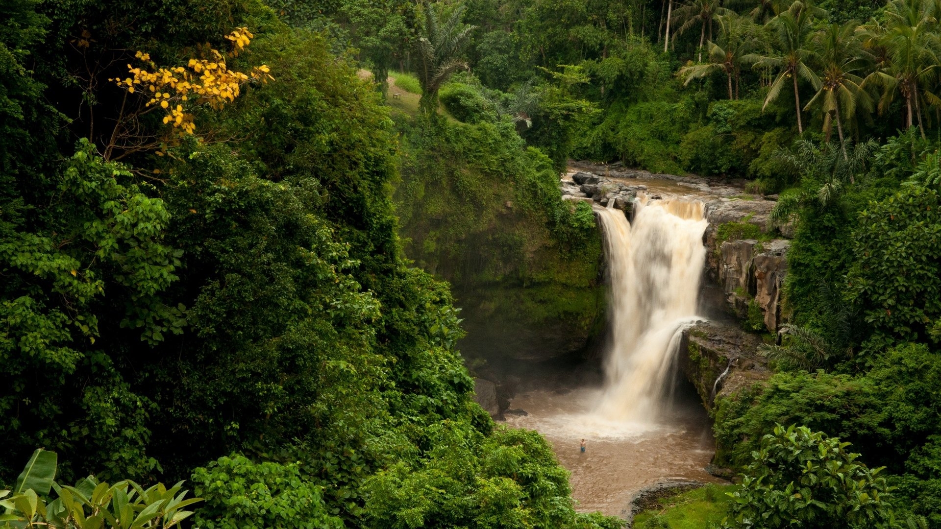 1920x1080 Bali Indonesia Waterfall in Forest Wallpaper, Desktop