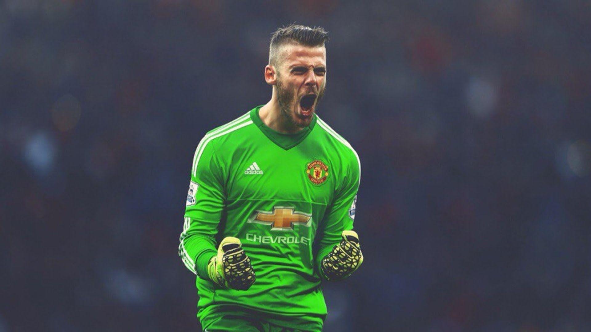 1920x1080 David De Gea ● Best Saves 2015 2016 ● Ultimate Saves Show, Desktop