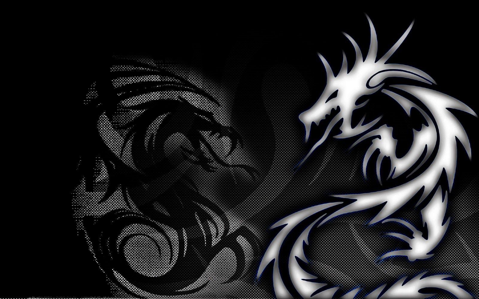 1600x1000 ZIGNIE WALLPAPER: Shadow Dragon, Desktop