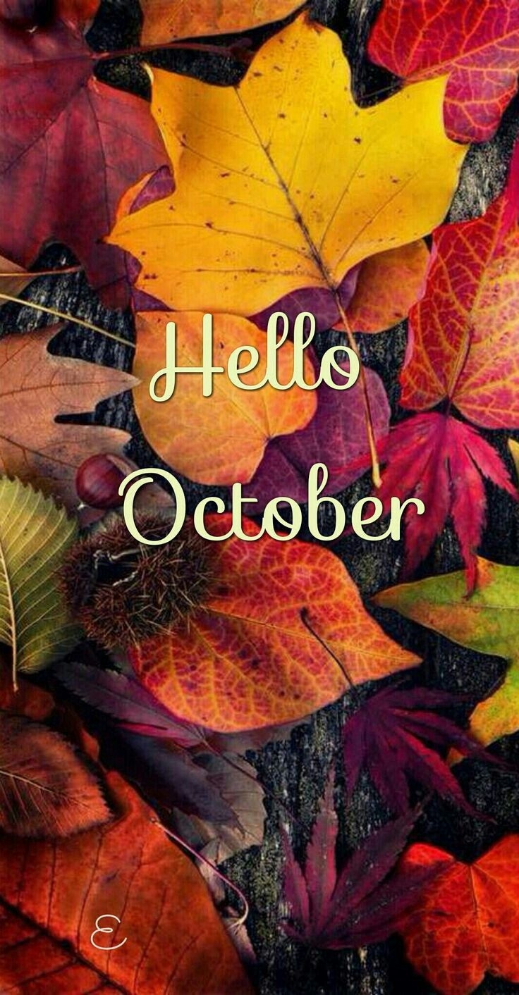 740x1420 Hello October, be kind. Autumn phone wallpaper, Hello october, Fall wallpaper, Phone