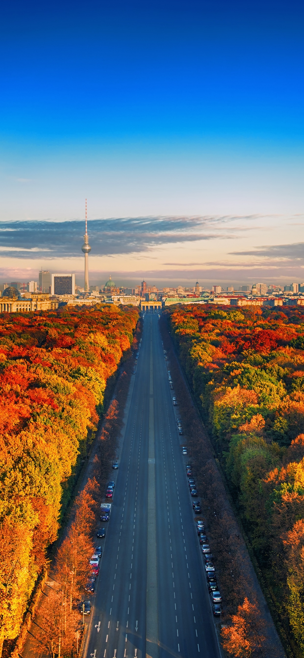 1250x2690 Autumn trees Wallpaper 4K, Berlin City Skyline, Germany, Phone