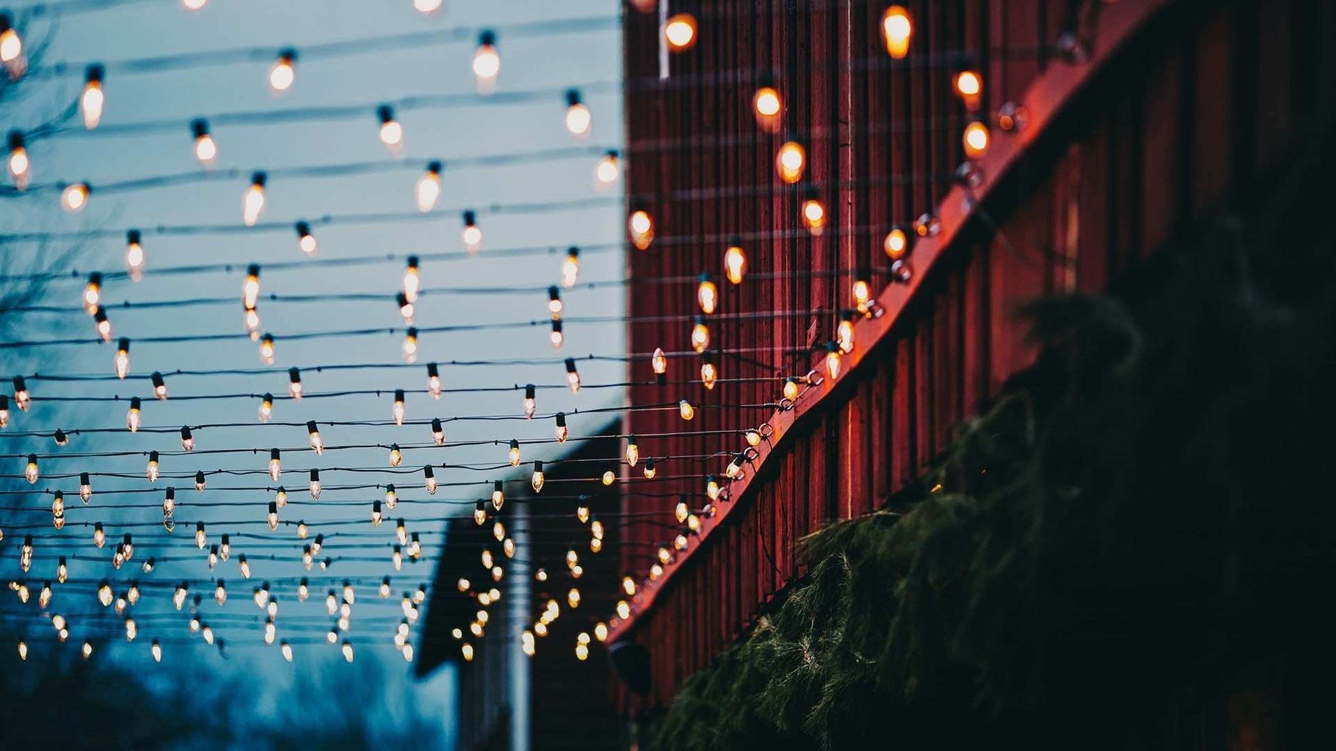 1920x1080 Wallpaper, sunlight, night, building, red, reflection, plants, skyscraper, blue, evening, lamp, bokeh, christmas lights, wires, light, color, lighting, line, stage, darkness, Desktop