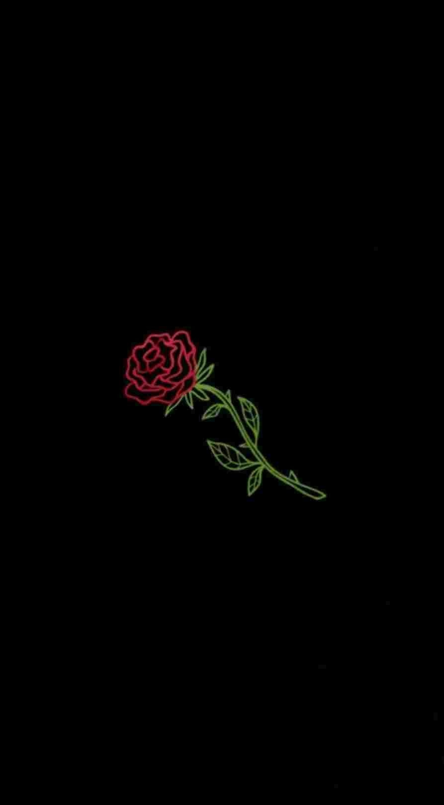 900x1620 Burning Rose Wallpaper, Phone