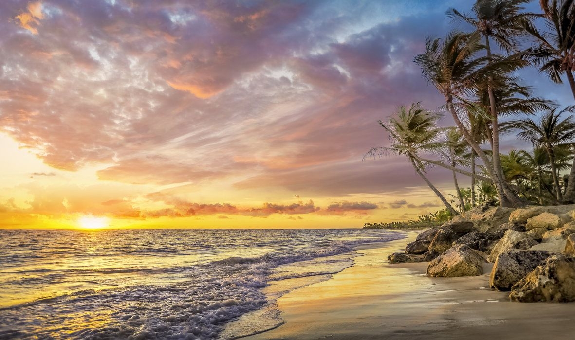 1190x700 Palm Tree in Sunset, Desktop