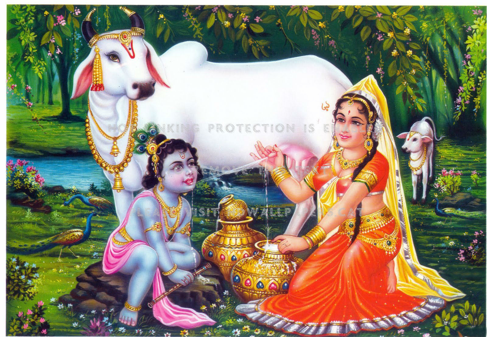 1600x1110 yashoda krishna child cute cow people, Desktop