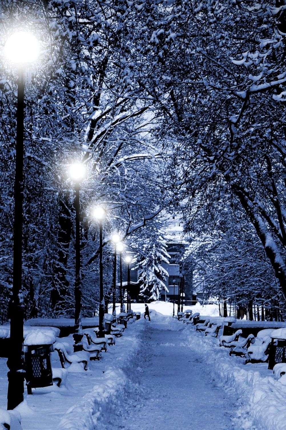 1010x1510 16++ Christmas Winter Wallpaper For iPhone, Phone