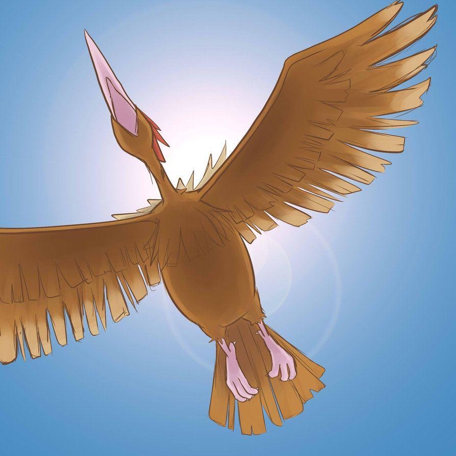 900x900 Fearow Wallpaper, PC Fearow Wallpaper Most Beautiful Image Of, Phone