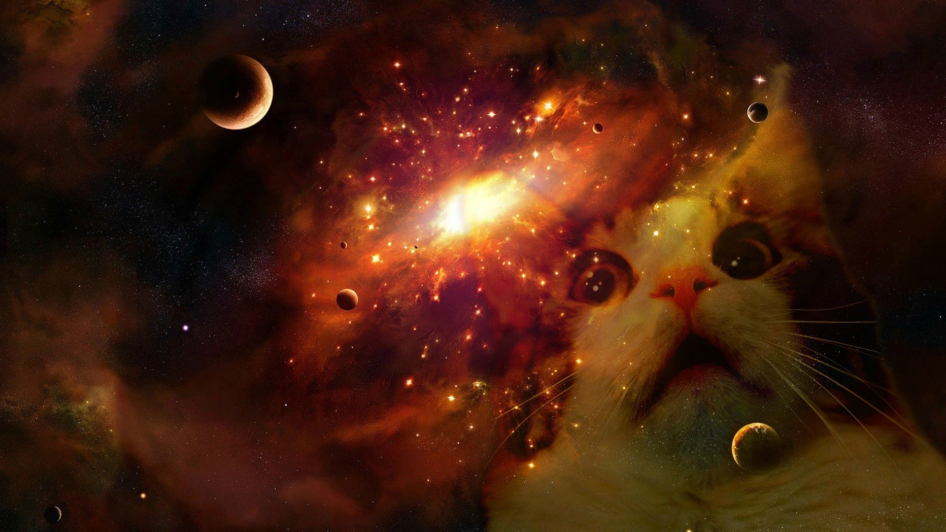 1920x1080 Space cat wallpaper, Desktop