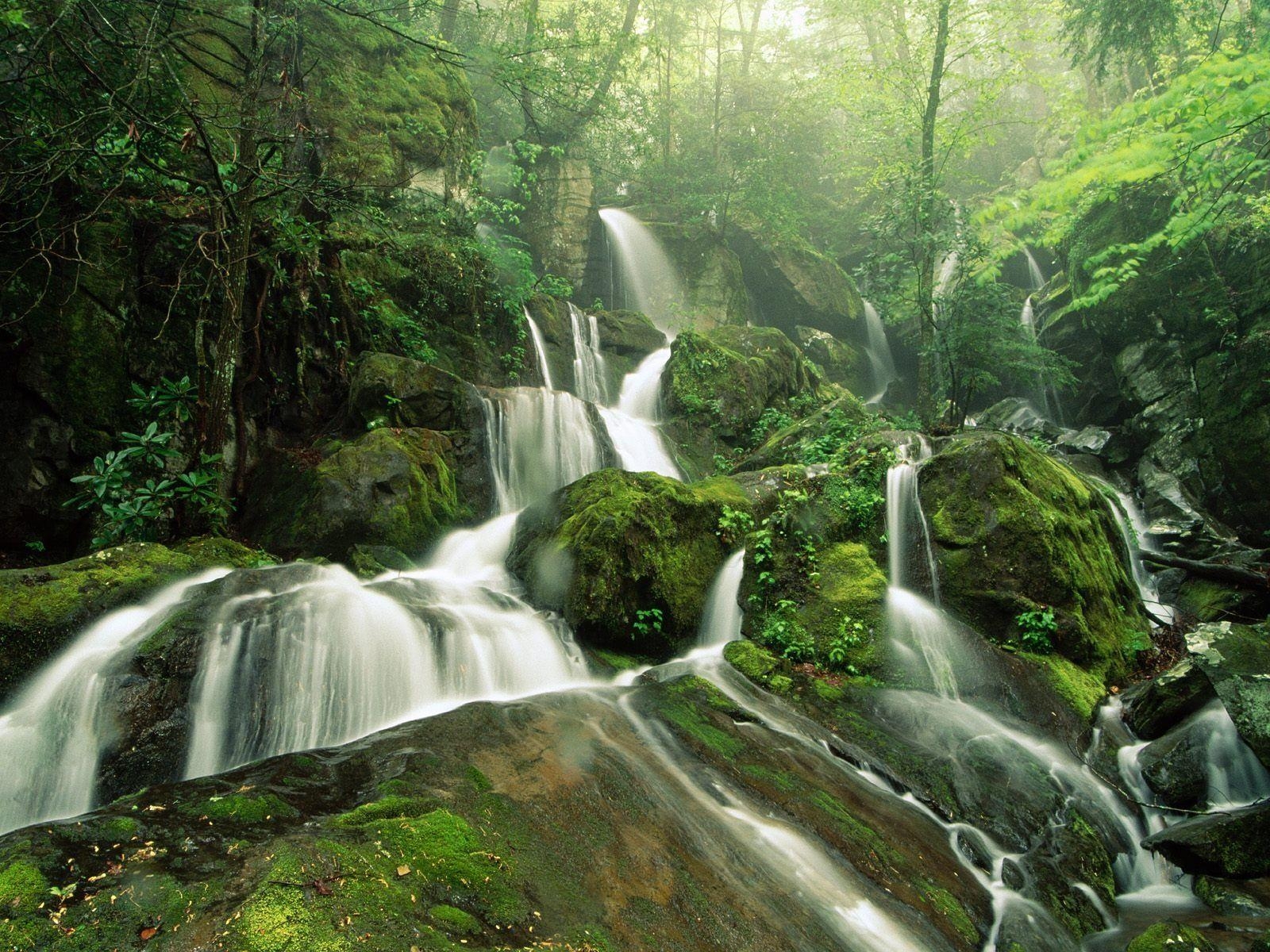 1600x1200 Image detail for -. Tropical Waterfalls, photo US Virgin, Desktop