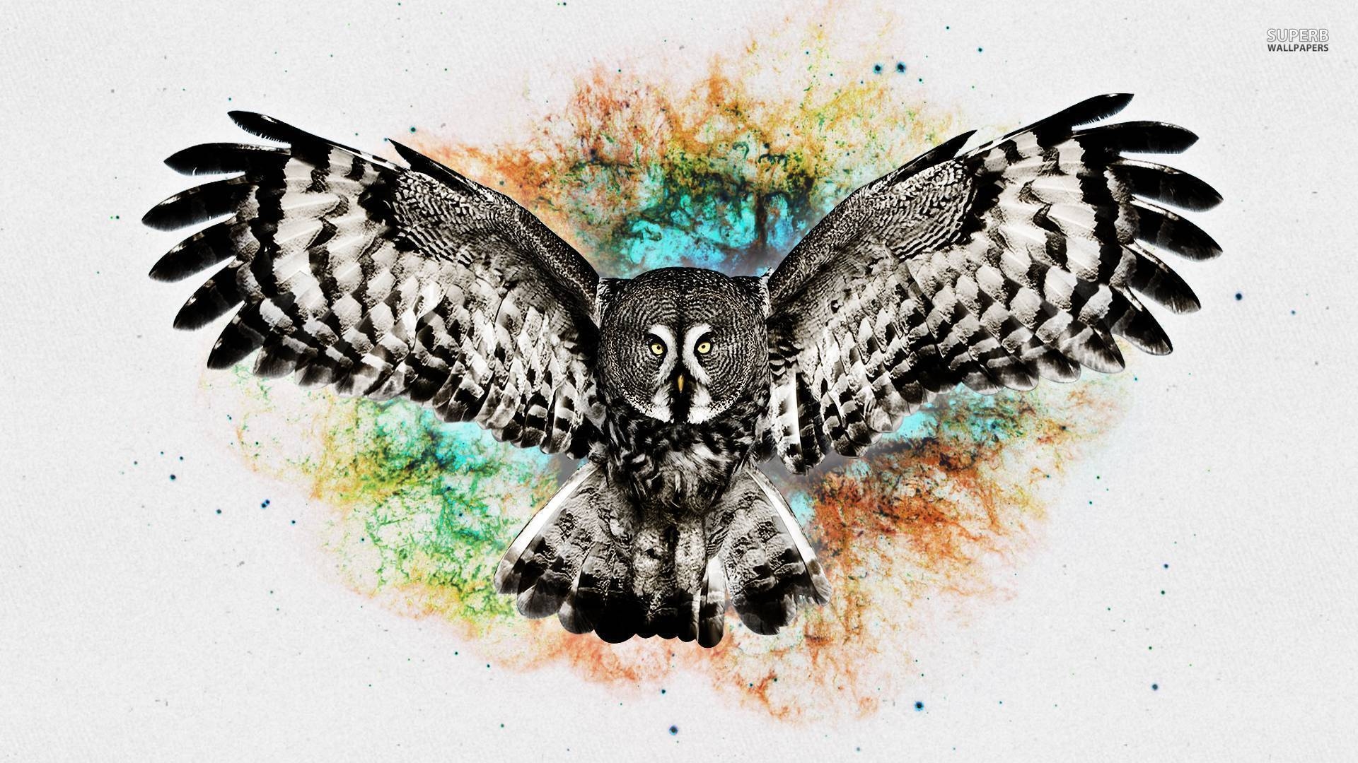 1920x1080 Owl wallpaper Art wallpaper - #, Desktop