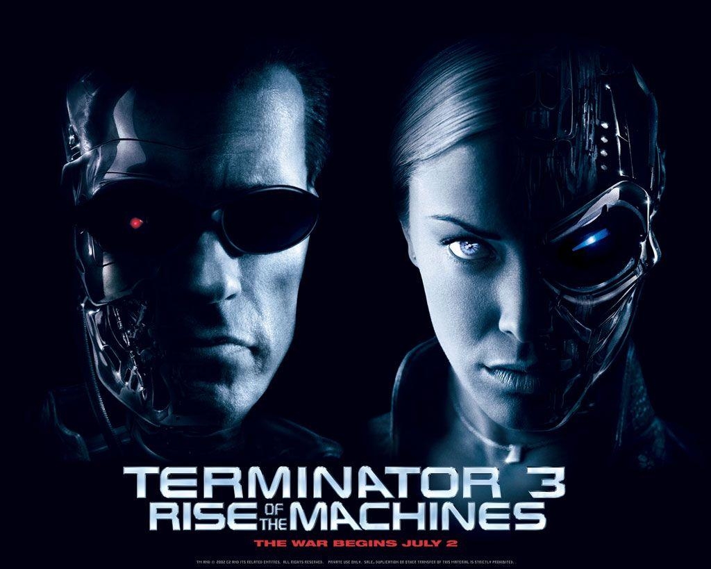 1030x820 Wallpaper Blink of Terminator 3: Rise of the Machines, Desktop