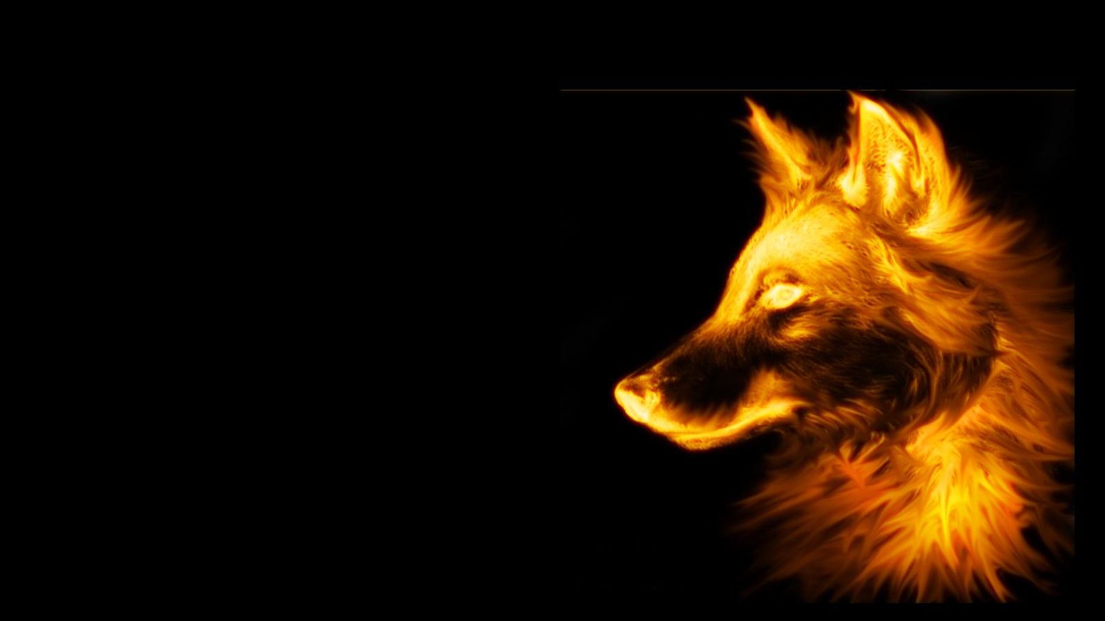 1600x900 3D Fox Wallpaper HD Wolf Black Background, Desktop