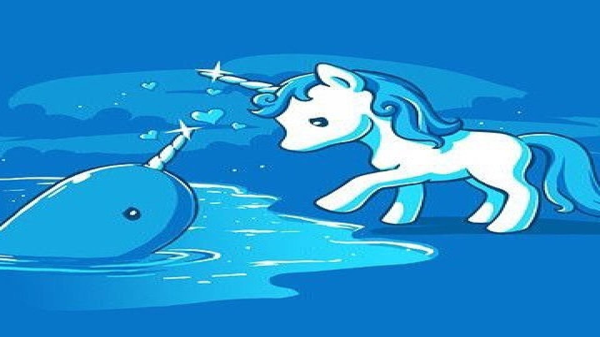 1920x1080 Narwhal Wallpaper High Resolution DG6AV. ZyZiXuN E Journal, Desktop