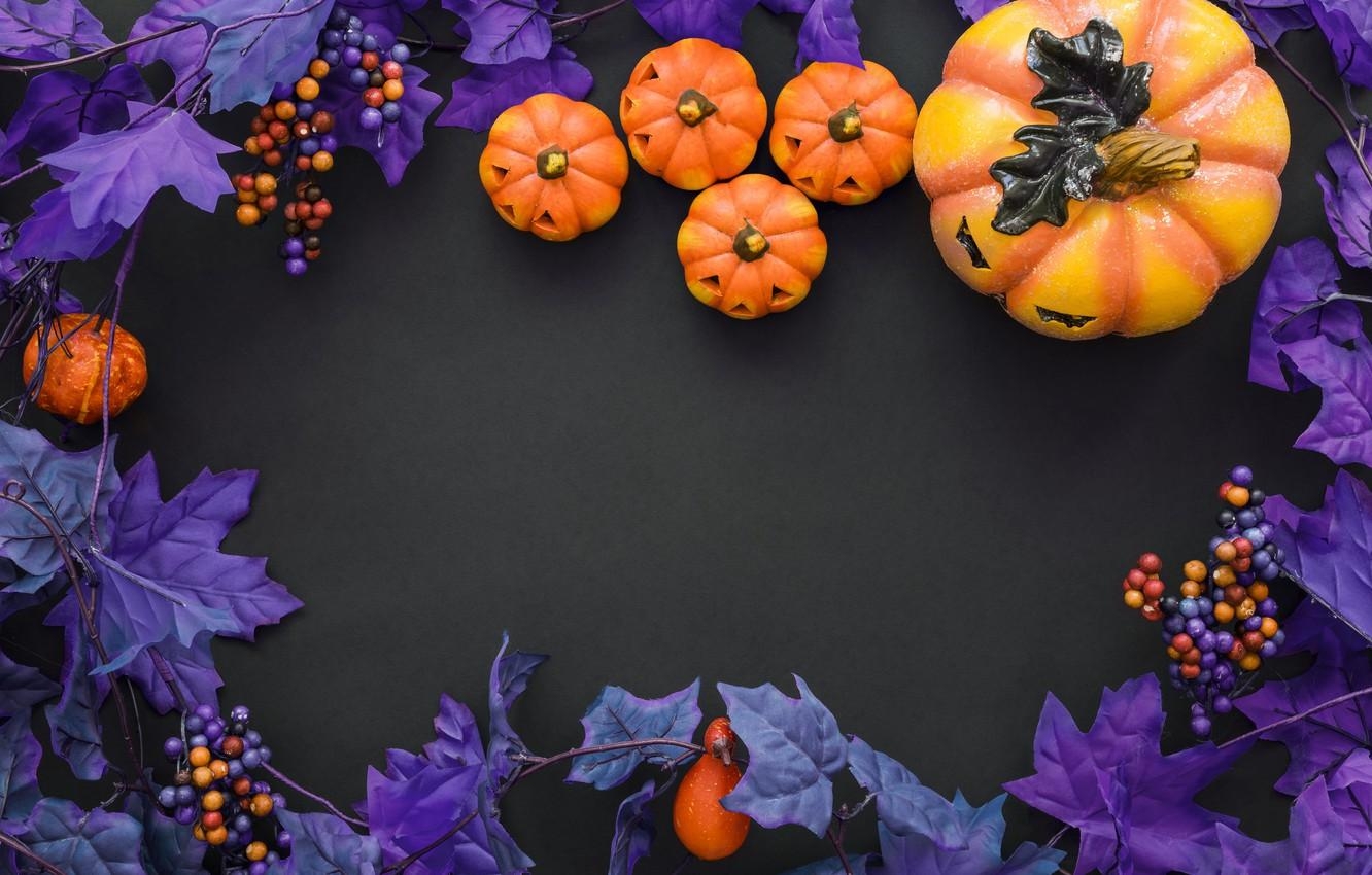 1340x850 Wallpaper purple, Halloween, pumpkin, Halloween, berries, pumpkin image for desktop, section праздники, Desktop