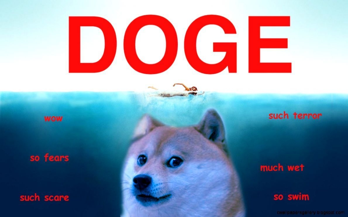 1190x750 Doge Meme Wallpaper. Doge meme, Funny picture, Dog jokes, Desktop