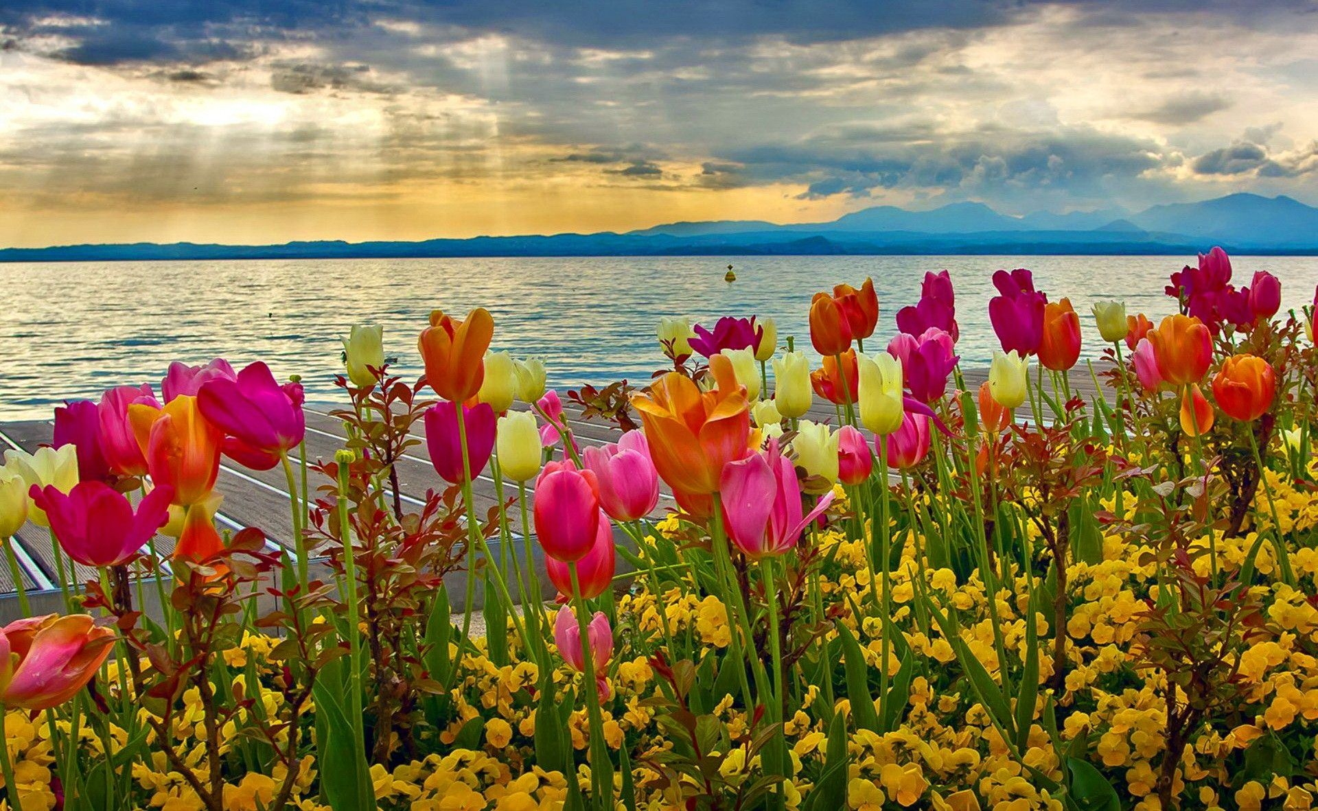 1920x1190 Pretty Spring Background and Wallpaper, Desktop