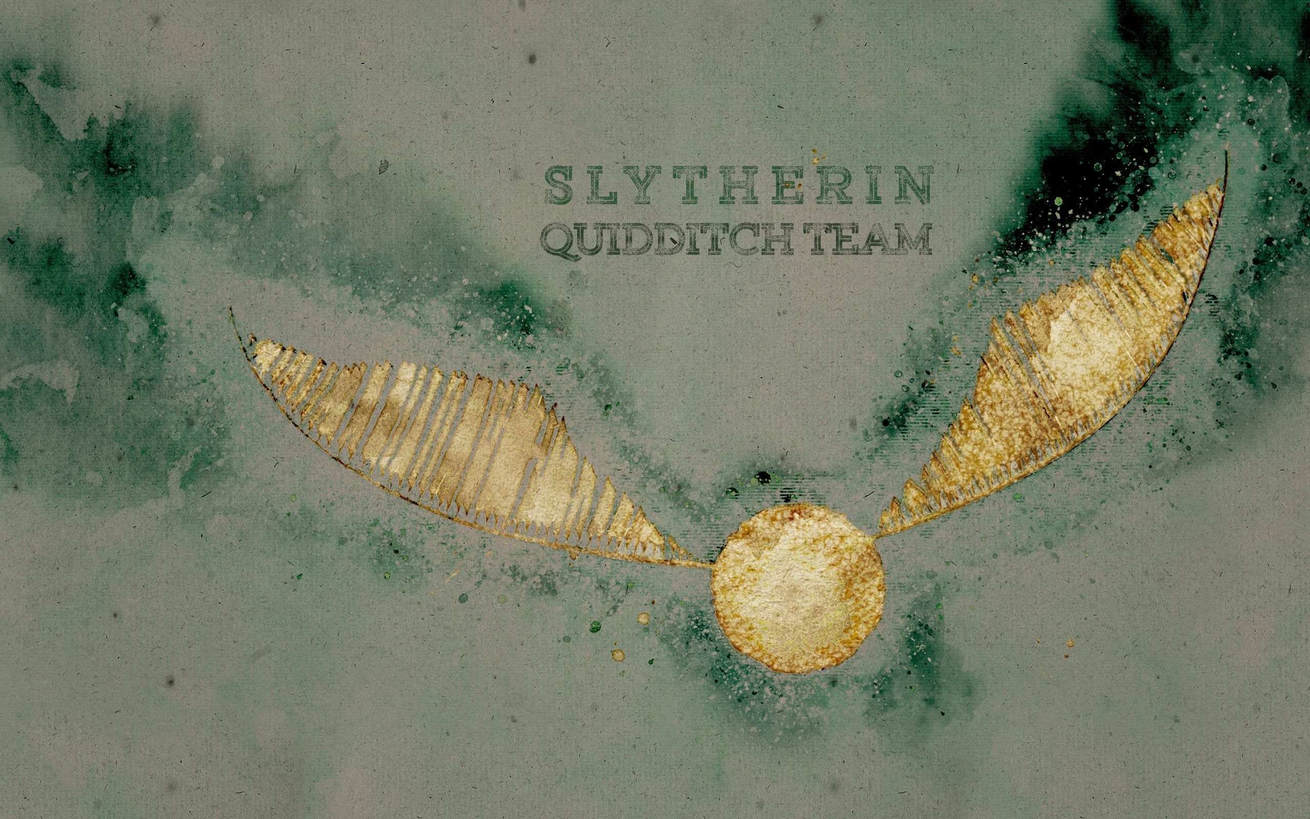 2560x1600 Slytherin Quidditch Desktop Wallpaper, Desktop