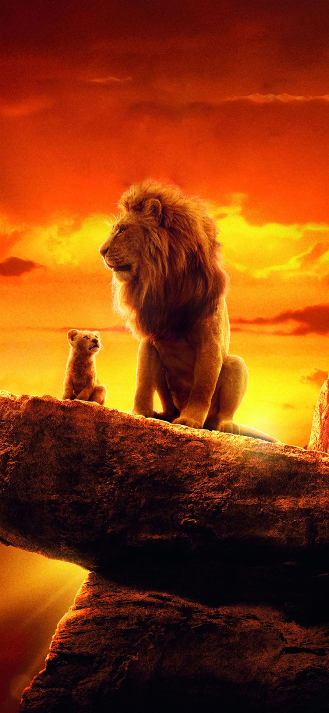 1080x2340 the lion king 2019 4k movie iPhone 12 Wallpaper Free Download, Phone