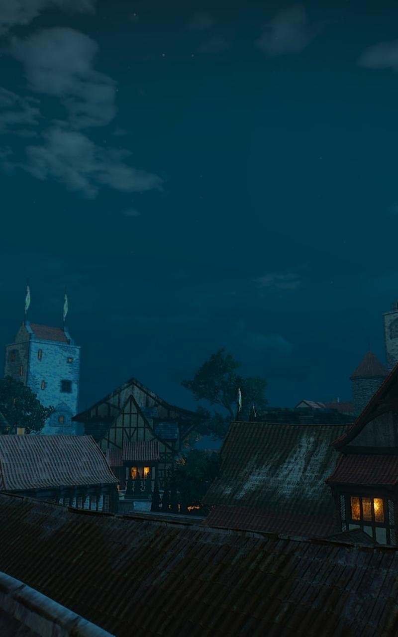 800x1280 Download The Witcher 3 Novigrad Samsung n7000 wallpaper, Phone