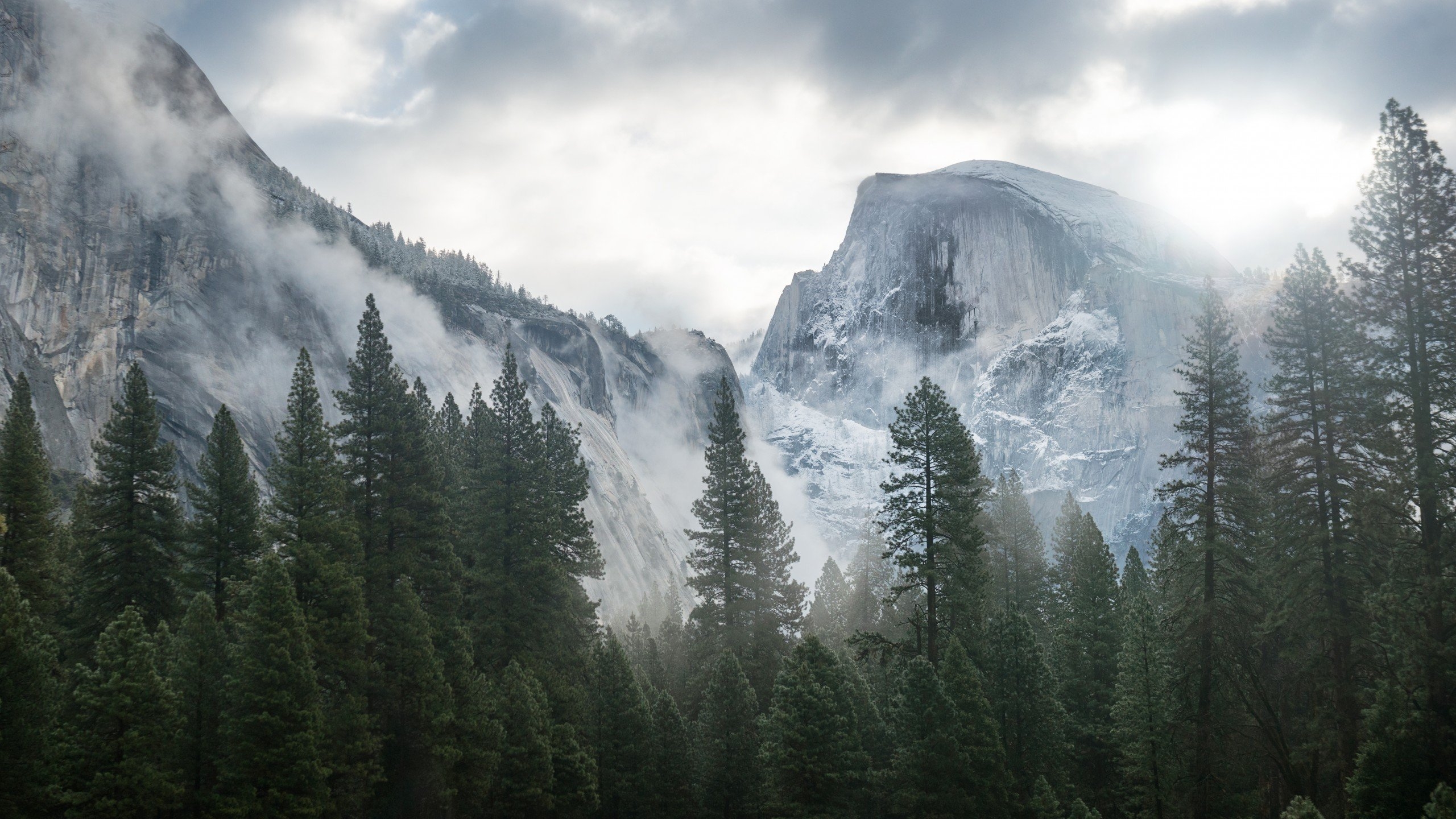 2560x1440 Wallpaper Yosemite, 5k, 4k wallpaper, 8k, forest, OSX, apple, Desktop