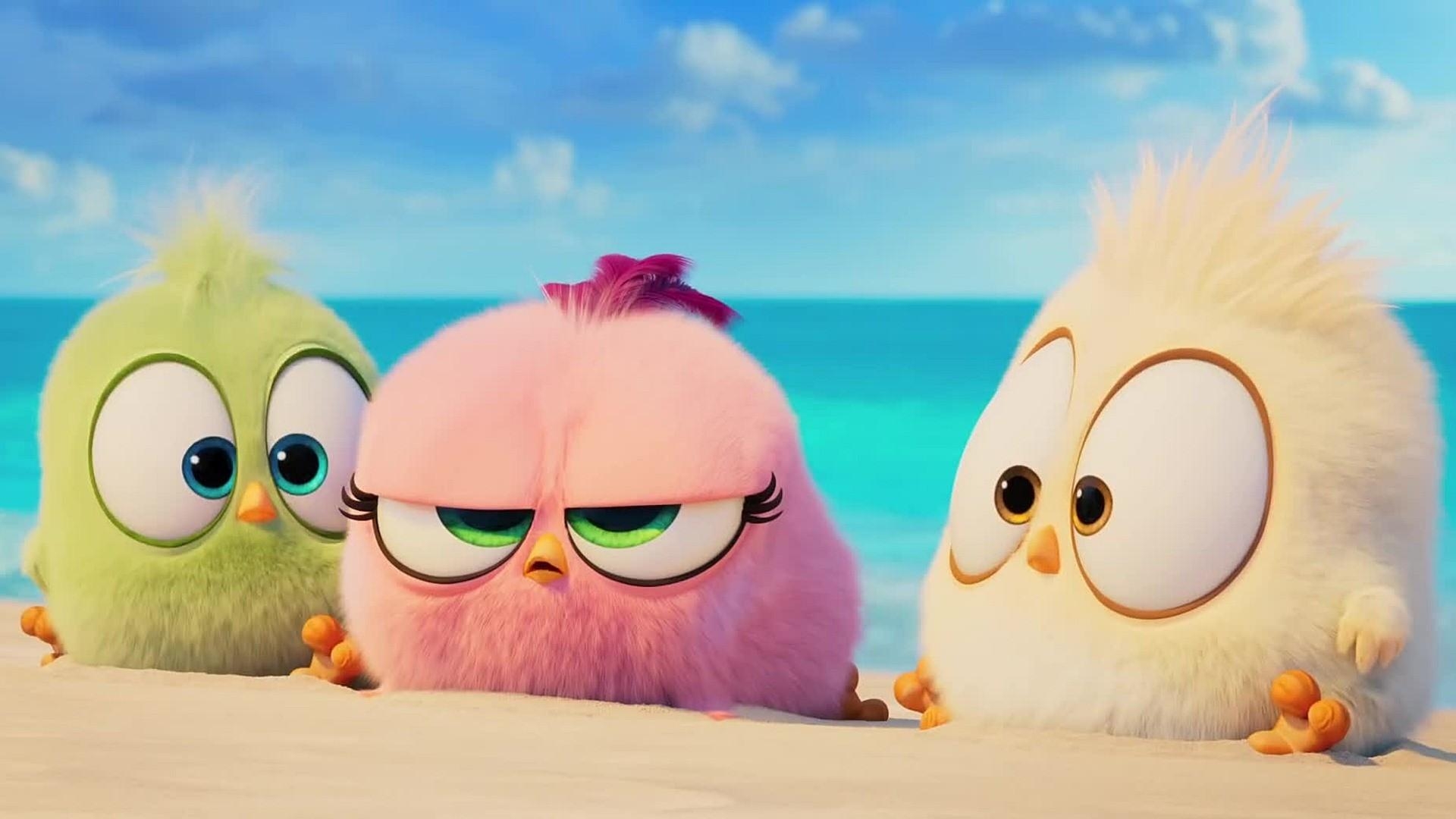 1920x1080 The Angry Birds Movie 2 HD Wallpaper 43391, Desktop