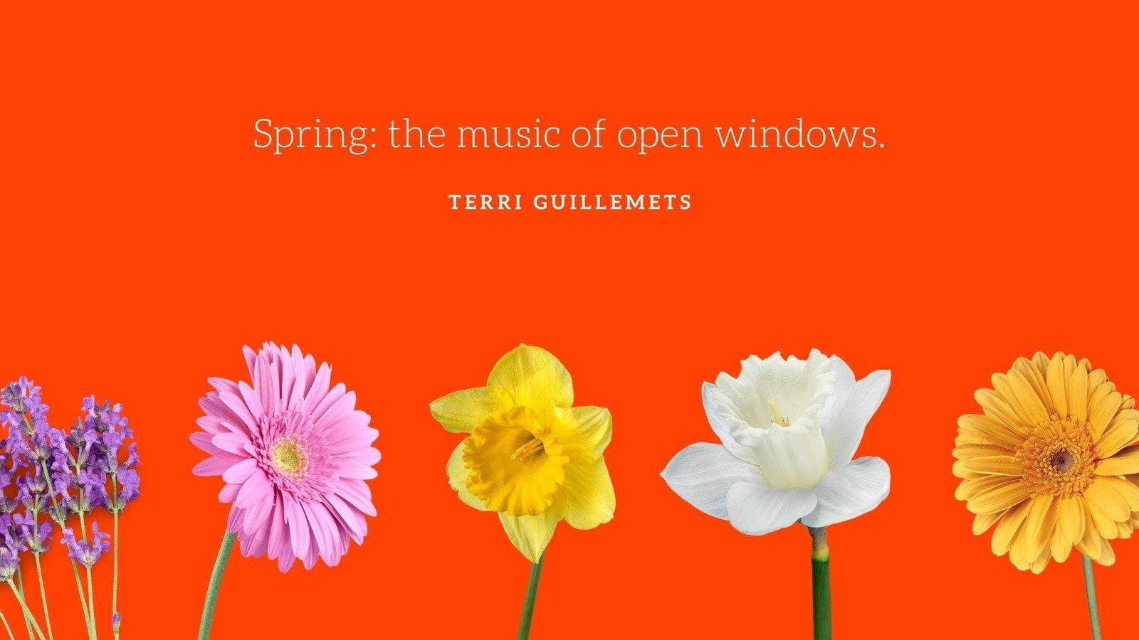 1600x900 Orange Floral Quote Spring Desktop Wallpaper, Desktop