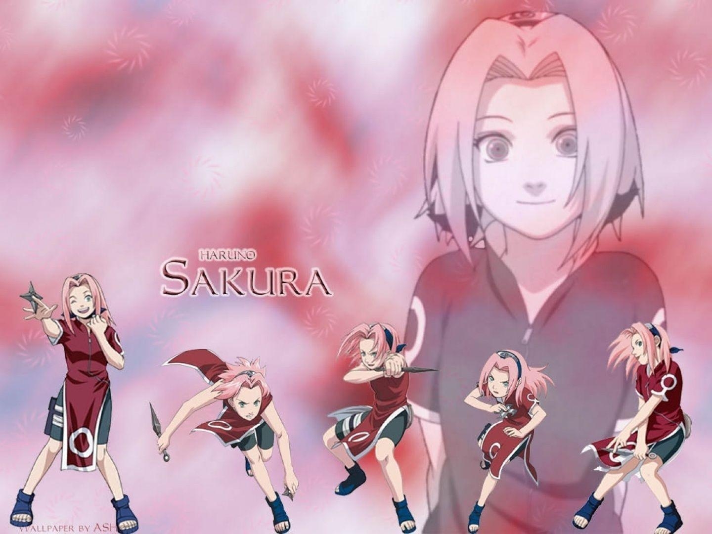 1440x1080 Sakura WOMEN Wallpaper, Desktop