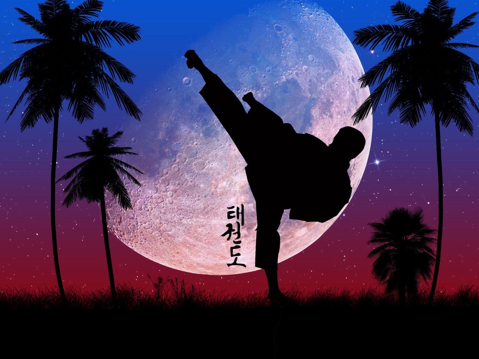 1600x1200 Taekwondo Wallpaper Group (58), Desktop