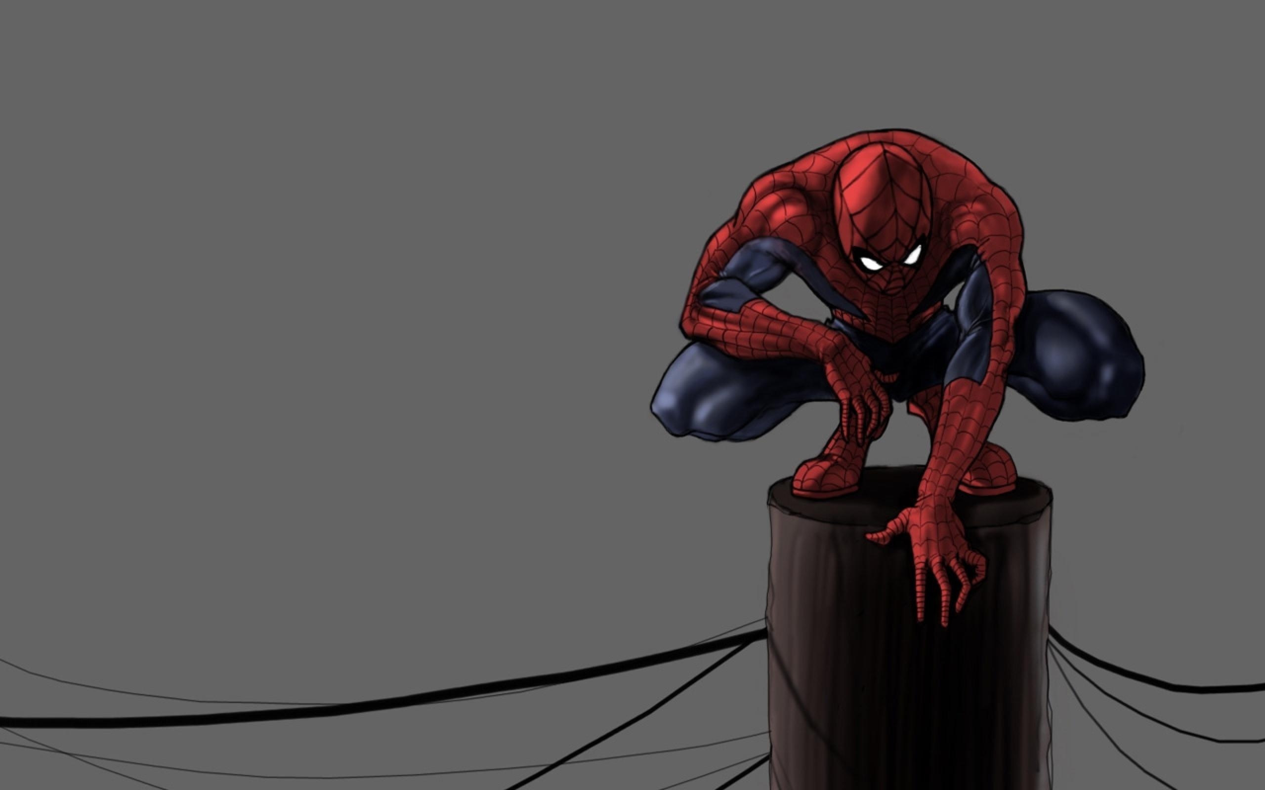 2560x1600 Cartoon Spiderman Squat on a Pole HD Grey Wallpaper Widescreen, Desktop